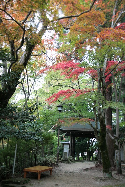 20131103瑞宝寺公園.jpg