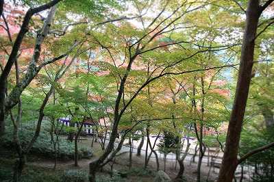 20131103瑞宝寺公園2.jpg