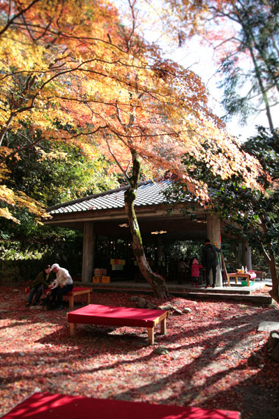 20131119-瑞宝寺公園1.jpg