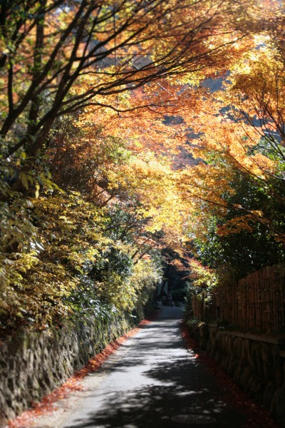 20131121-鼓ケ滝公園への道.jpg