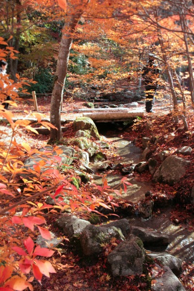 20131126-瑞宝寺公園のせせらぎ.jpg