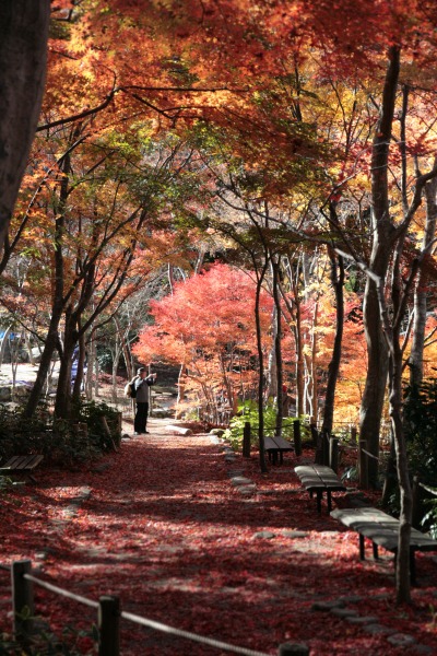 20131126-瑞宝寺公園.jpg