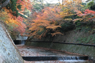 20131204-ねね橋の下より.jpg