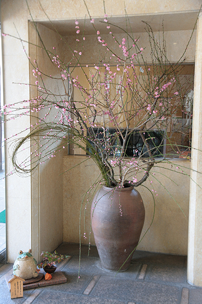 20140324-玄関の梅の花-ブログ用.jpg