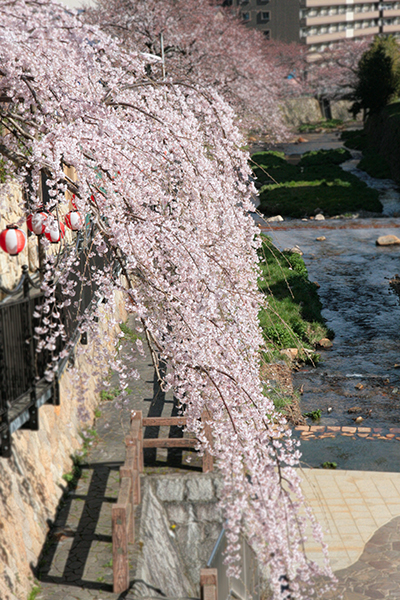20140402-太閤橋から有馬川を望む-ブログ用.jpg