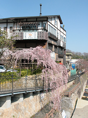 20150331吉高屋桜2.jpg