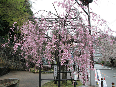 20150408湯けむり広場1.JPG