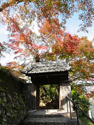 20151116ブログ用-善福寺.jpg