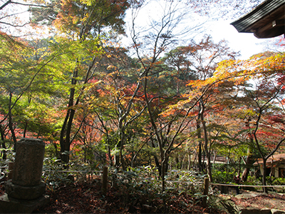 20151116ブログ用-瑞宝寺公園3.jpg