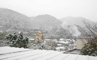 20190211-雪2.jpg