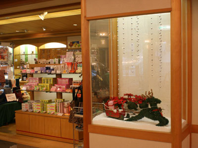 display.jpg