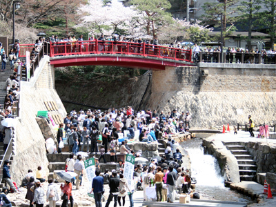 sakuramatsuri01.jpg