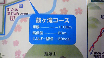 tanaka-kanae3.jpg