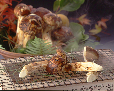 焼き松茸.jpg