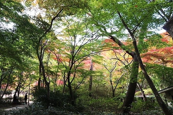 瑞宝寺公園