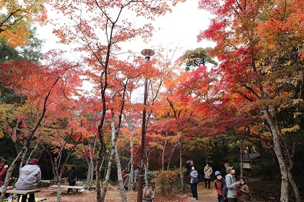 瑞宝寺公園