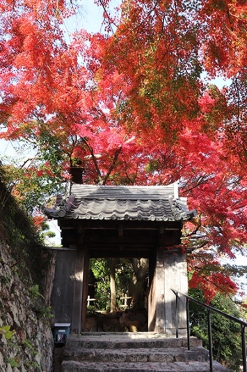 善福寺山門