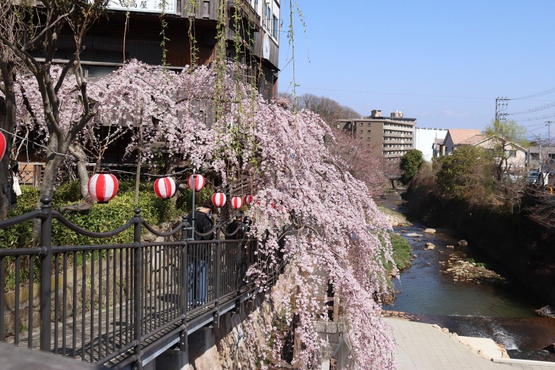 有馬川