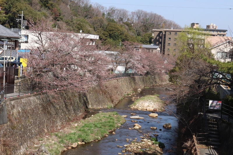 有馬川