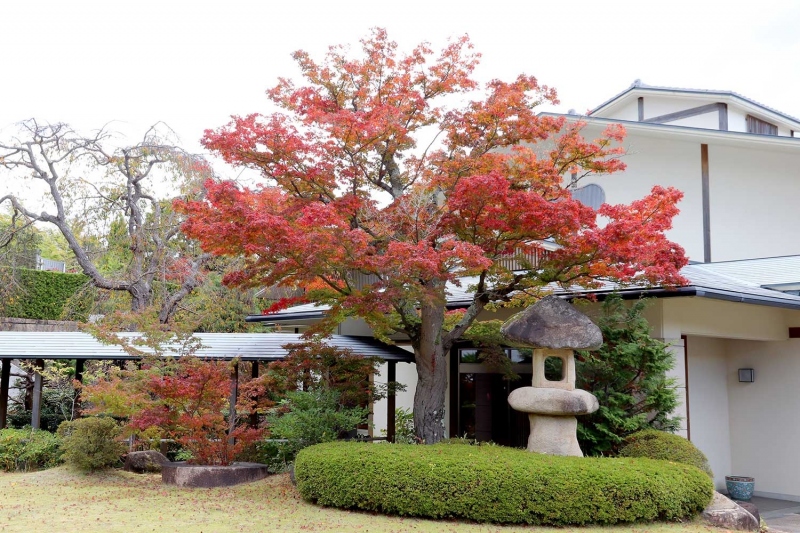 兵衛向陽閣 9階庭園