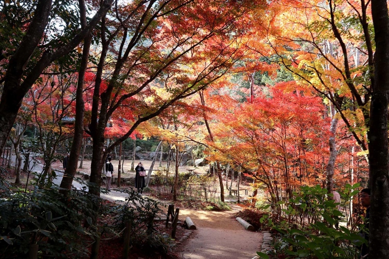 瑞宝寺公園