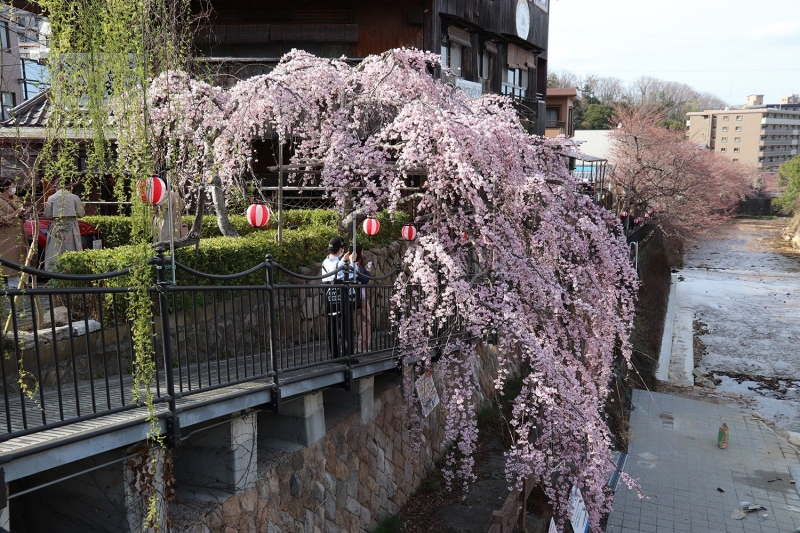 吉高屋