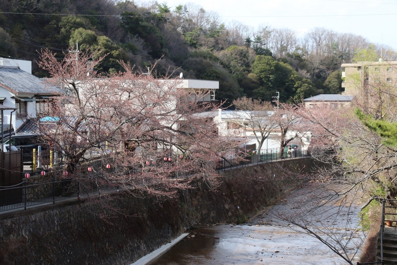 有馬川