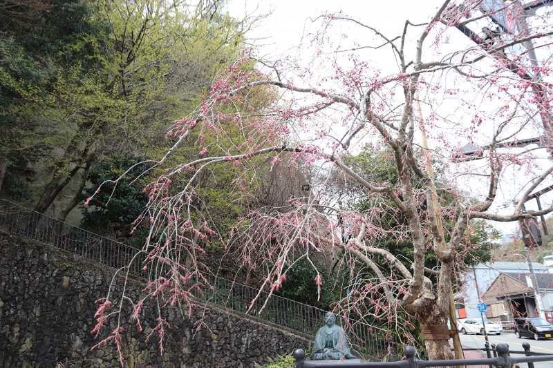 湯けむり広場