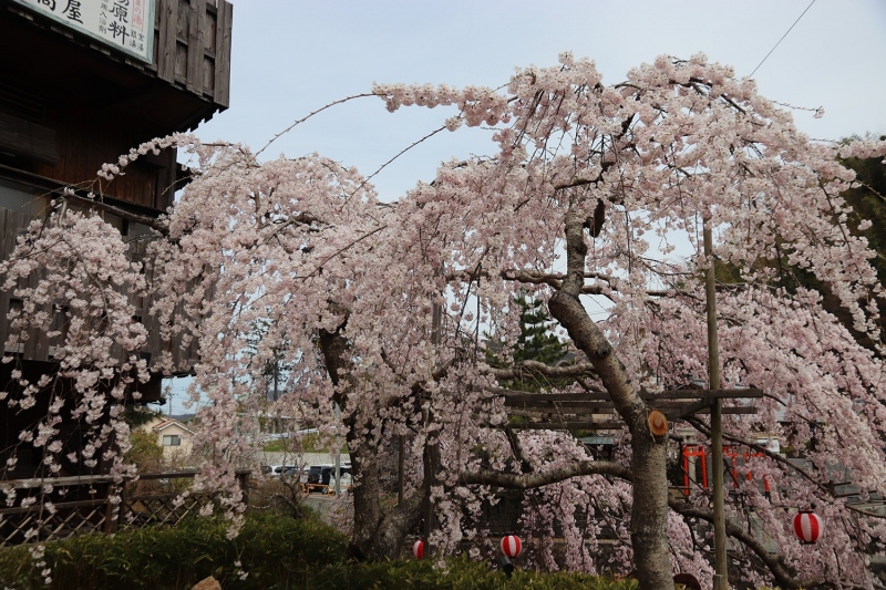 吉高屋