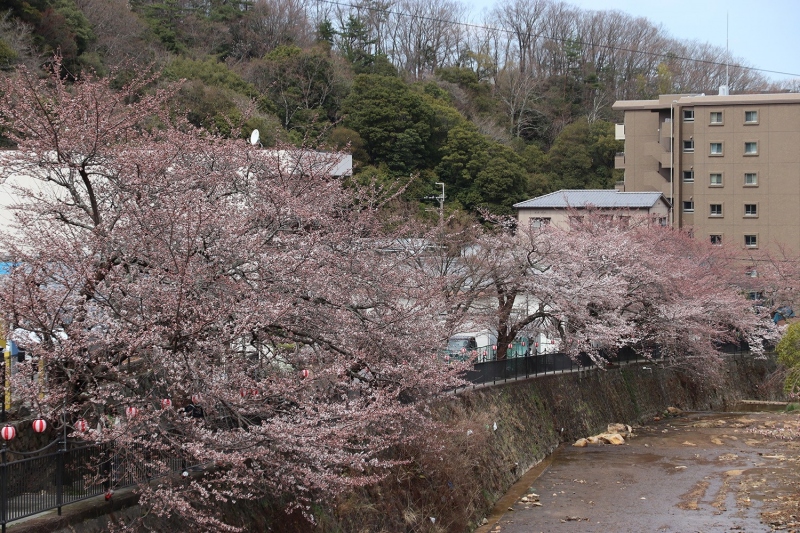 有馬川沿い