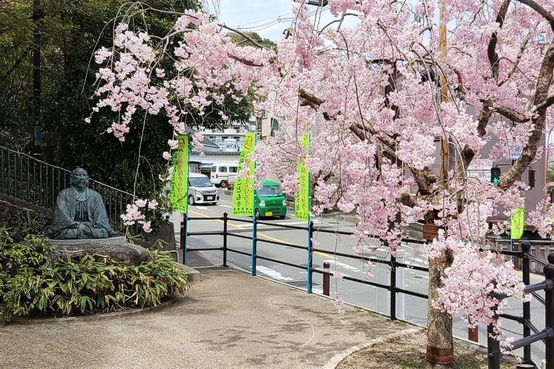 湯けむり広場