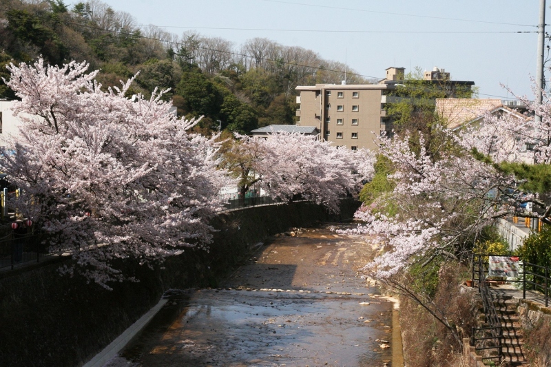 4月10日撮影