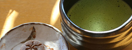 リピータの方へ　特別プラン