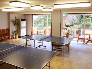 Table tennis