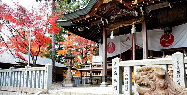 ARIMA ONSEN