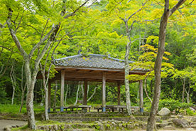 瑞宝寺公園