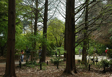神戸市立 森林植物園