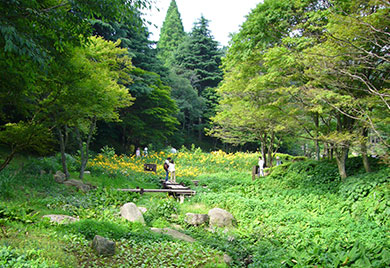 六甲山高山植物園