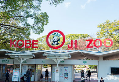 神戸市立 王子動物園