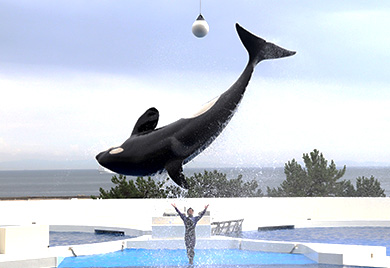 神戸市立 須磨海浜水族園