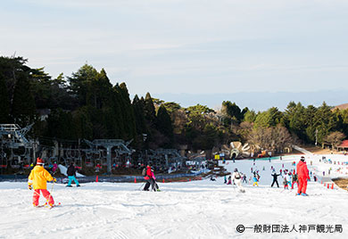 六甲山スノーパーク（冬季限定）